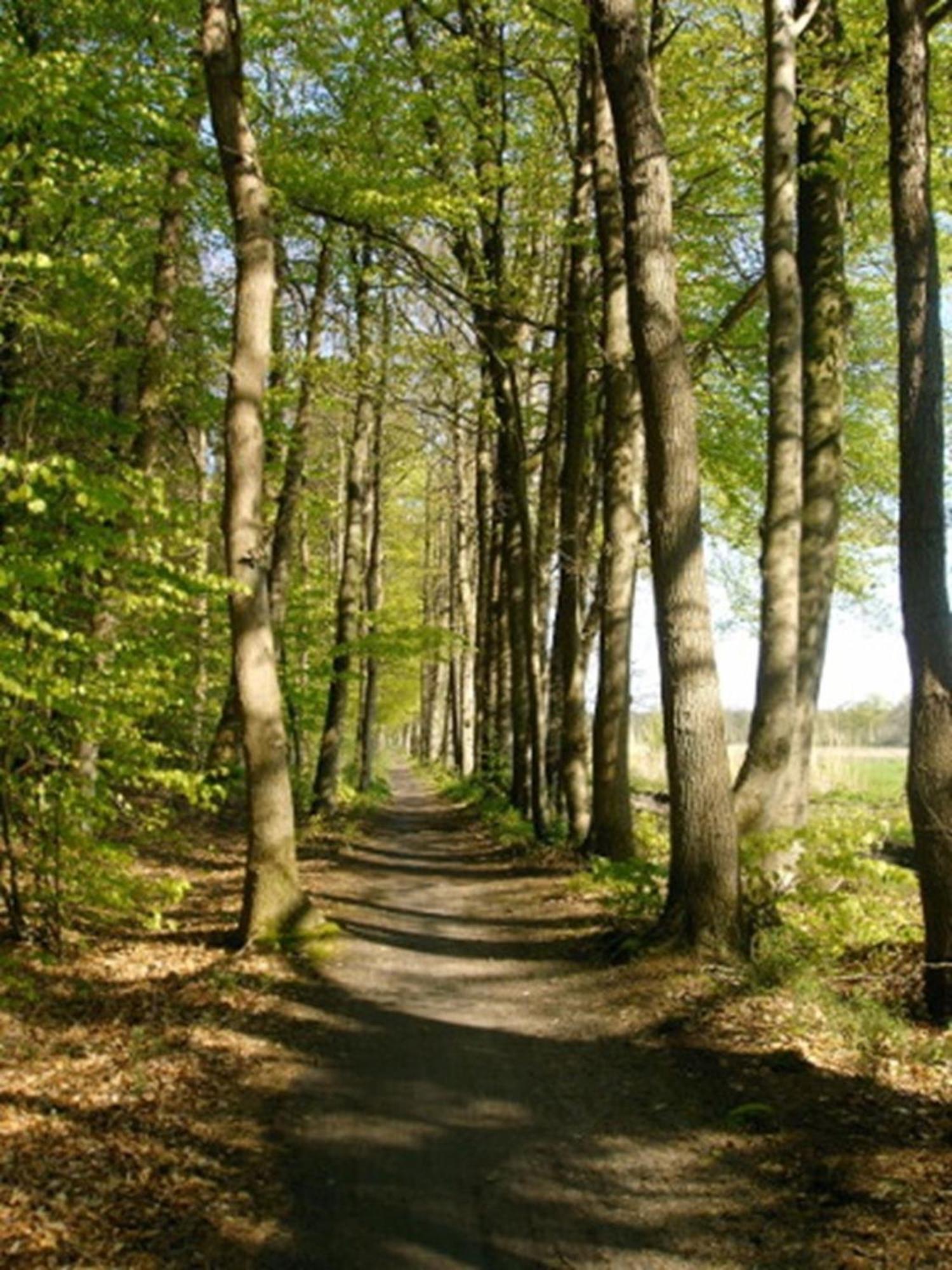 Ammerlaender Ferienwohnung Westerstede Esterno foto